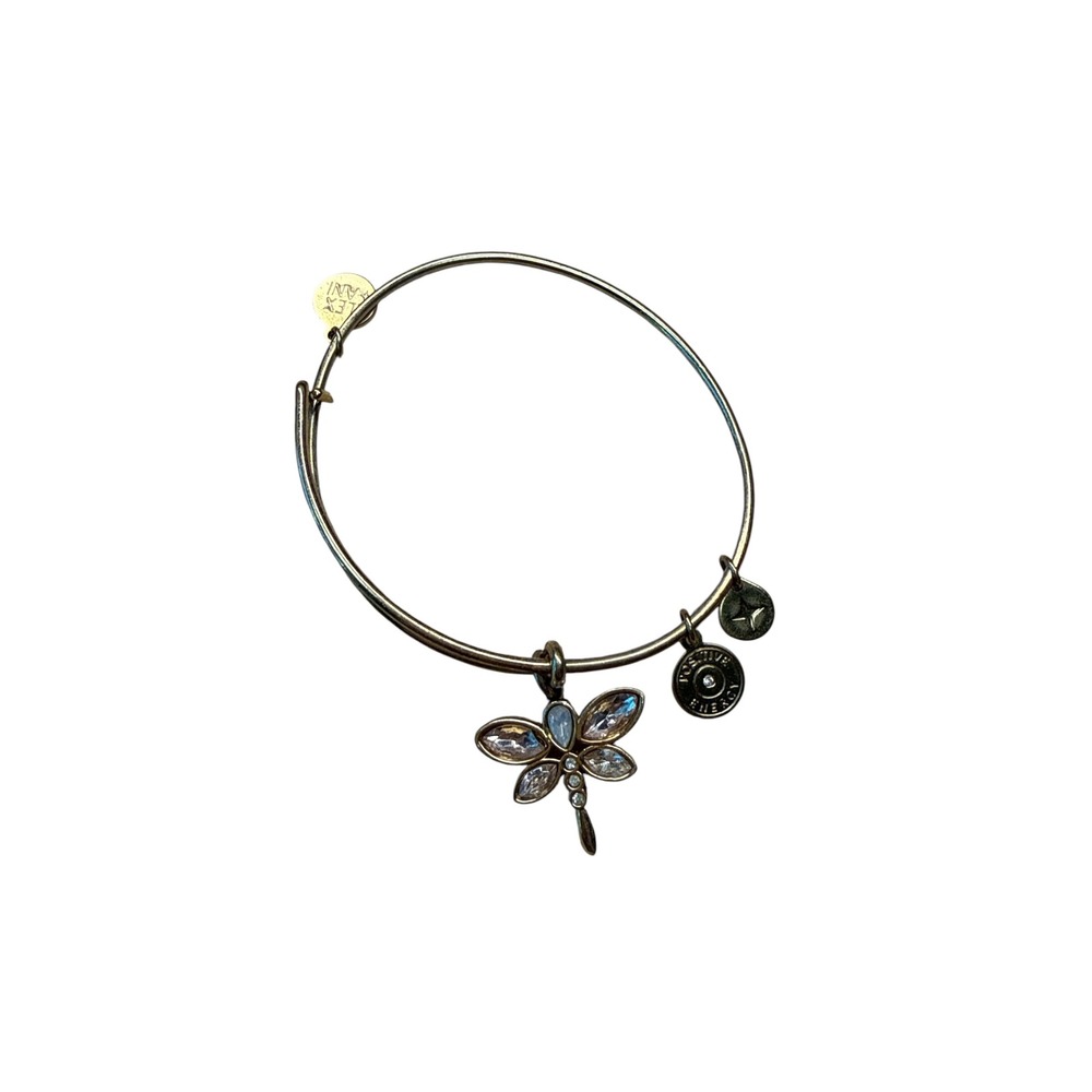 Alex and Ani Dragonfly Crystal Charm Bangle Bracelet Rafaelian Silver Tone
